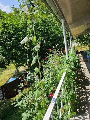 qaxda kirayə evlər 2023: 120 kv. m, 3 otaqlı, İnternet — 5