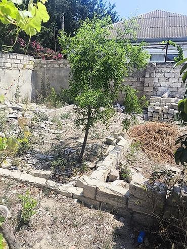 Torpaq: 2 sot, Tikinti, Kupça (Çıxarış), Bələdiyyə — 2