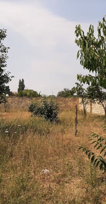 купить землю в баку: Şəhərin kənarında, təbiətin qoynunda yerləşən bu torpaq sahəsi sakit — 3