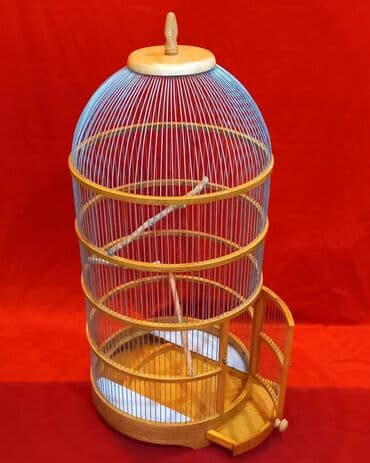 quş qəfəsi qiymətləri: Qefes Taxta qefes yenidi Qiymeti - 250 azn Ölculeri Diametri - 49sm — 2