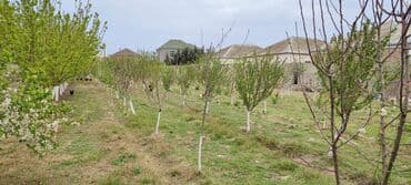 türkanda torpaq: 15 sot, Tikinti, Makler, Bələdiyyə, Kupça (Çıxarış) — 5