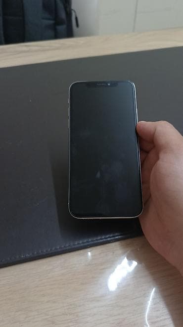 IPhone X, Серебристый