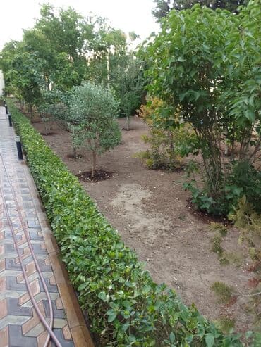 ищу работу садовник на дачу: Salam bağ evlərində, Abyektlərdə parklarda bağban xidməti görülür — 16
