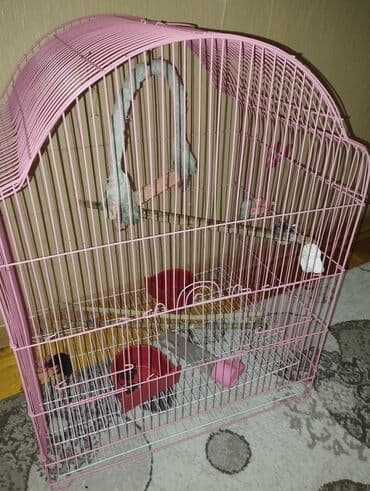 karlik dovsan satisi: Quş qəfəsi – geniş və funksional - Rəng: çəhrayı (metal karkas) - — 7