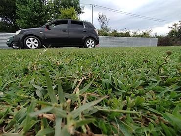 lider diskləri 07: Kia Rio hatchback - Kuzov: 5 qapılı hatchback, qara rəng - Nömrə — 2