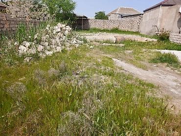 gencede torpaq: 3 sot, Bələdiyyə — 3