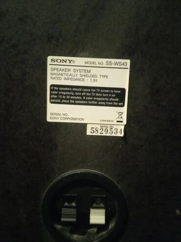 dinamik pioner: Yeni Sony Kolonka, Növ - Sabvufer, rəng - Gümüşü — 12