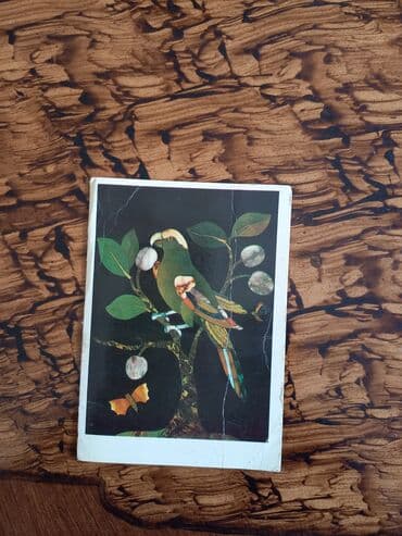 1974cü ilin.təzə atkritka