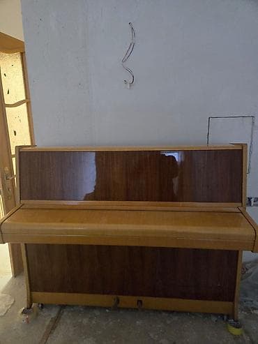 Musiqi alətləri: Rösler akustik piano – vertikal (upright) model. Alverçi deyilem öz — 3