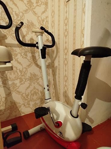 format velosiped: VL Fitness markalı ağ və qırmızı rəngli velosiped trenajoru. Qara — 1