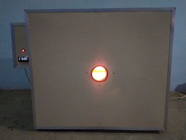 inqubator satisi: Qəbələdə 400 yumurtalıq əla keyfiyyətli yeni inkubator satılır — 2