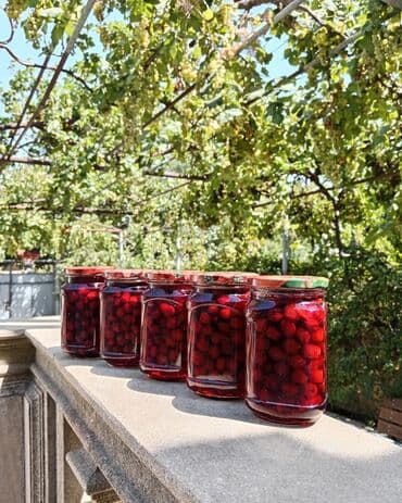 kakos murebbesi hazirlanmasi: Zoğal mürəbbəsi Can dərmanı bağımızın məhsulu gözəl zoğal — 4