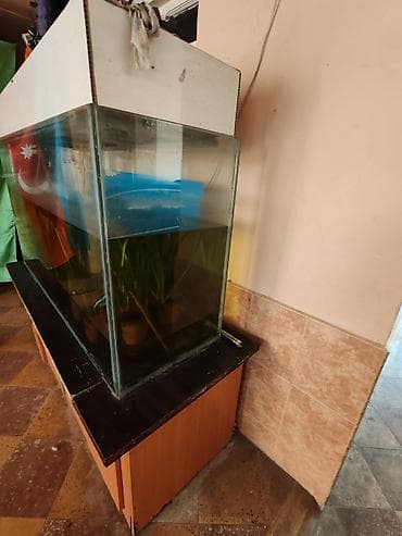 akvarium lampa: 1.20uzunu Eni 50sm Hündürlüyü 90sm Üsdünün kinişkasıda VAR vintilasiya — 4
