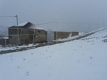 8 sot, Mülkiyyətçi, Kupça (Çıxarış)