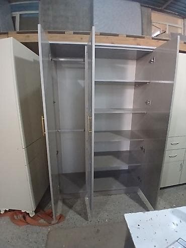 paltar dolab: Üç qapılı paltar şkafı – güzgülü orta qapı Xüsusiyyətlər: - Korpus — 2