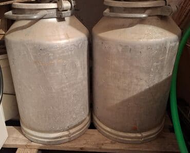 Bitkilər: Alüminium süd bidonları (4 ədəd) - Material: yüngül və möhkəm — 1