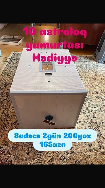İnkubatorlar: Toyuq, qaz,ördek ve s. Bütün nov quş yumurtası üçün inkubator - — 1