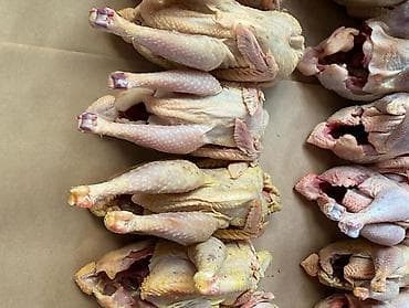 et xengeli: Kənd çolpası çəkiləri 1 kilodan yuxarıdı bakıya çattırılma var 050 325 — 1