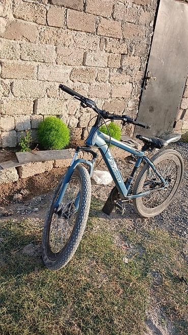 qedimi pullar: Velosiped – dağ/şəhər tipi, 26” təkər ölçüsü - Geniş protektorlu — 3