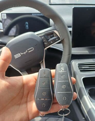 ремонт карбюратора: BYD BYD, Çin, Yeni — 2