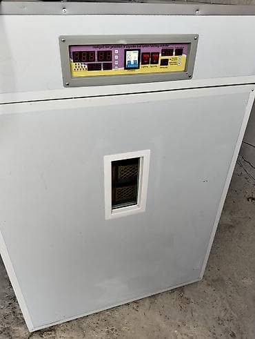 Аренда оборудования: 1500 яиц, Полностью автоматическая — 4