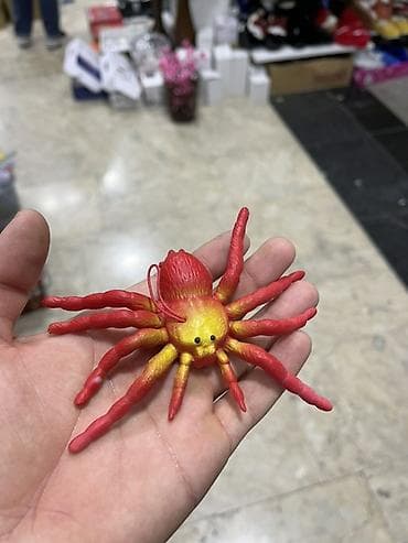 Uşaq oyuncaqları dəsti – yumşaq oyuncaq qurbağa və realist elastik