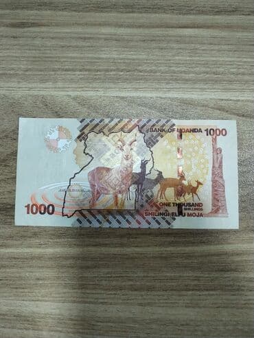 Kabrolar: Kolleksiya üçün müxtəlif ölkələrin orijinal kağız pulları dəsti — 6