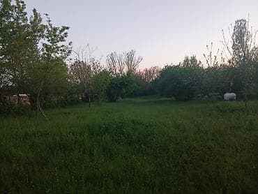 melisa parkda kiraye evler: 30 sot, Kənd təsərrüfatı — 3