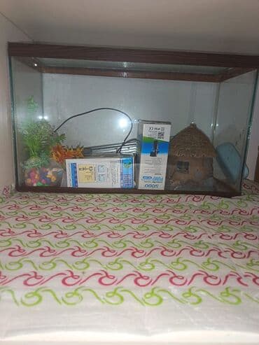 купить аквариум в баку: Аквариумы — 1