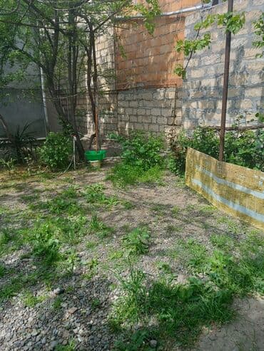 meyve tərəvəz: RT Arxasında körpüdən sağda 2 ci küçədə 2 mərtəbəli 8 otaqlı həyət evi — 26