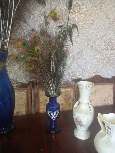 декоративные головы животных на стену: Bogima guldan ve tovuzquwu lelekleri tam orjinaldir. qiymetleri — 2