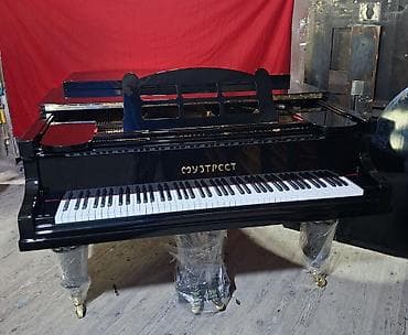 Пианино: Рояль, Акустический — 2