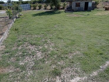 şekide ayliq kiraye evler: 13 sot, Tikinti, Mülkiyyətçi, Kupça (Çıxarış), Texniki pasport — 5