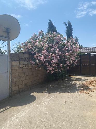 bulbule qesebesinde satilan evler: 5 sot, Mülkiyyətçi, Bələdiyyə — 2