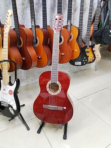 gibson gitara: Classic gitara "Saranda" Rast musiqi alətləri Mağazasınin unvanlari; — 1