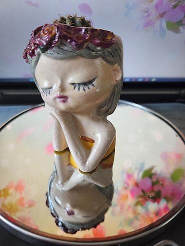 dibcekler: Горшки для сукулентов и кактусов — 4