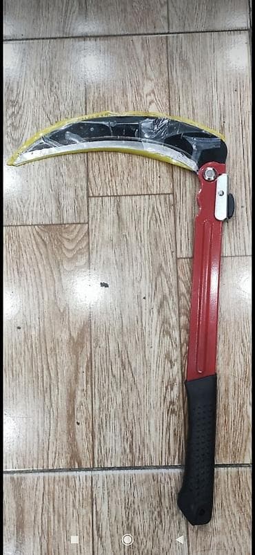 quru meyvelerin topdan satisi: Oraq dəryəz topdan satış — 1