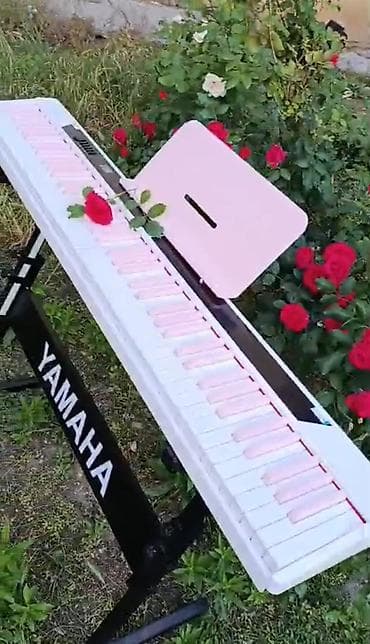 ucuz gitara satisi: Piano, Rəqəmsal, Yeni, Ünvandan götürmə, Pulsuz çatdırılma — 7