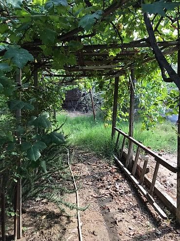 lalafo satılık emlak: Məhsul: Meyvə Bağı (həyətyanı torpaq sahəsi) Təsvir: - Yaşıl, kollu — 8