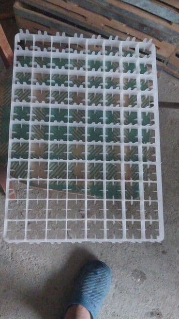 etirsah bitkisi: Assalam aleykum inqubator ücün cücə latoku 88 ededlik,hind cücə latoku — 1