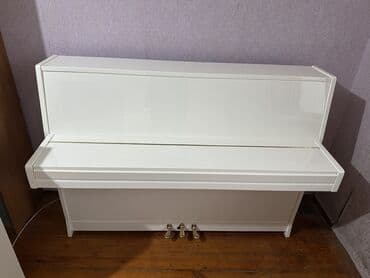 прокат плейстейшен 5: Пианино, Petrof, Акустический — 3