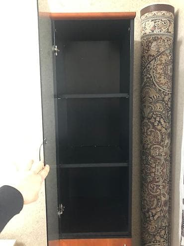 ucuz demir qapi: Vitrin dolab 2qapili.asaqi qapisinda acarida var.ust qapisi — 4