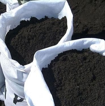 torpaq gence: 12 sot — 1