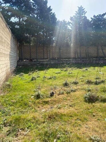 binə qəsəbəsi: 10 sot, Tikinti, Makler, Kupça (Çıxarış) — 8