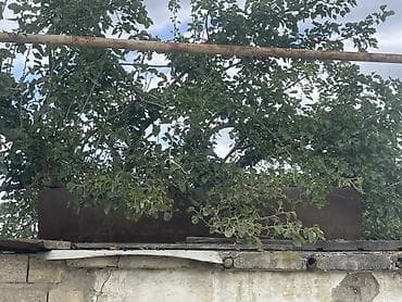 su şlanq: Bak, Metal, 1500 l l, Yeni, Ünvandan götürmə — 1