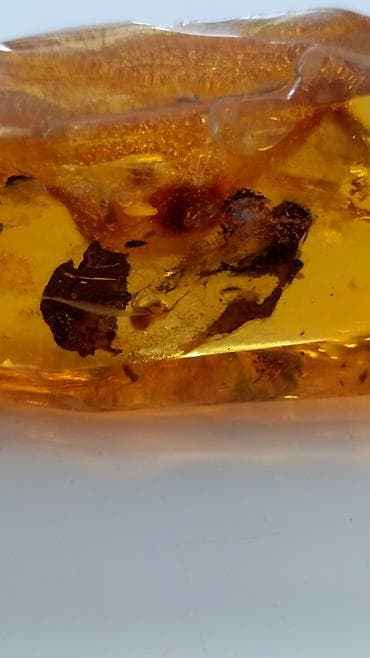 Янтарь, Бесплатная доставка — 4