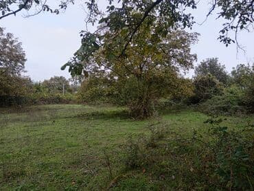 kreditle torpaq alqi satqisi: Tikinti — 1