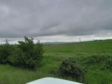 kirayə evlər 2025 sumqayıt: 45 sot, Kənd təsərrüfatı, Kupça (Çıxarış) — 2