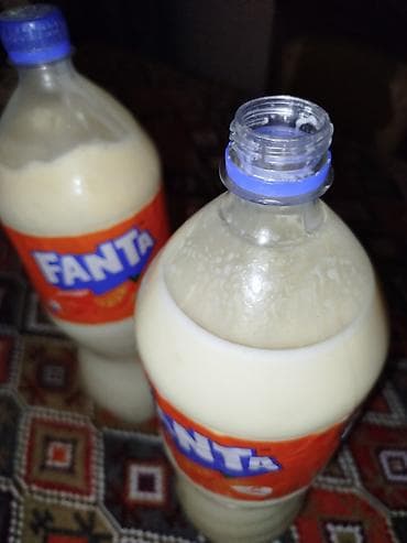 qida məhsulları: Üzlü gözlü Süd pendir Yağ Təmiz Kənd məhsulları kimə lazımdır əlaqə — 4