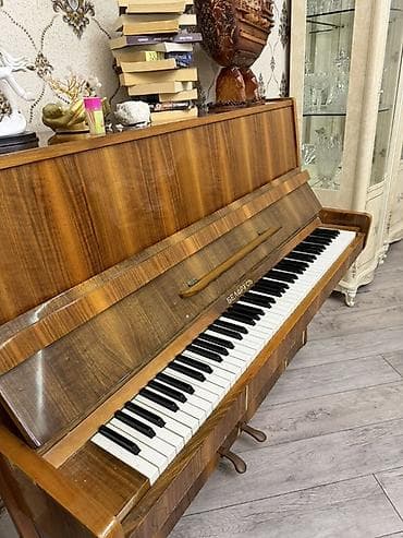 dynacord 2: Piano, Belarus, Akustik, Rayonlara çatdırılma, Ödənişli çatdırılma, Ünvandan götürmə — 2